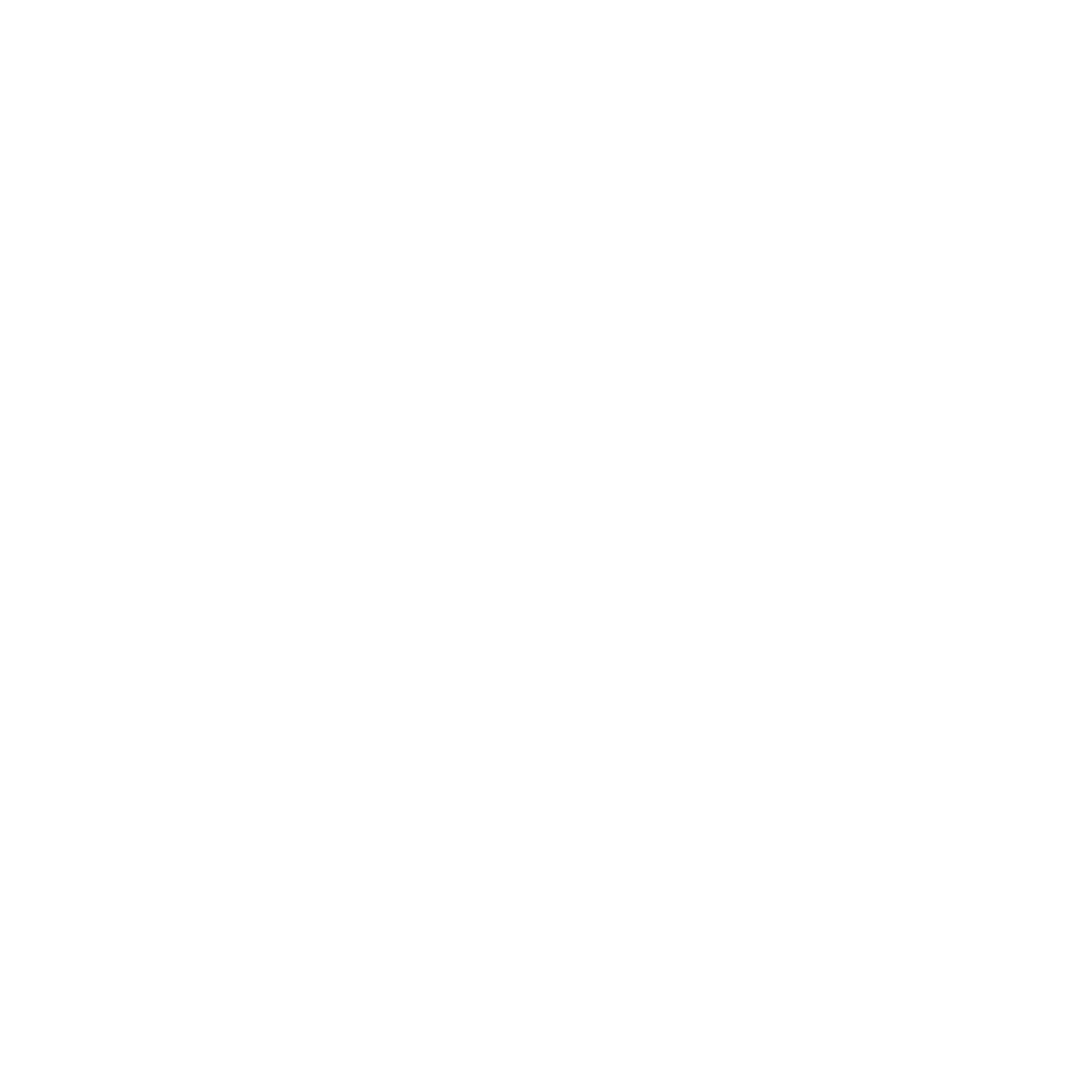 Information Systems Logo